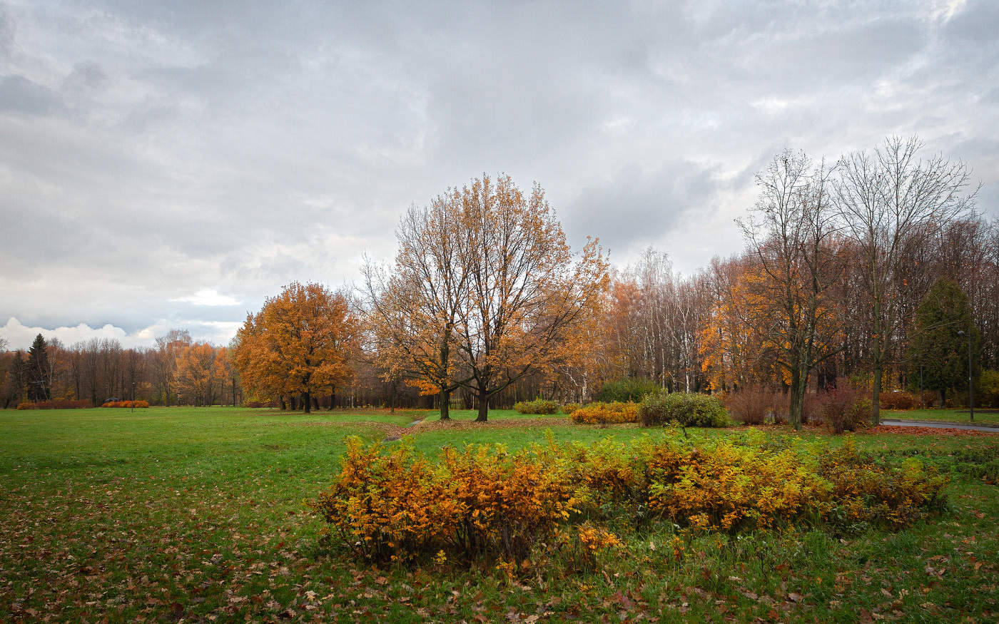 Im Herbst des Parks ...