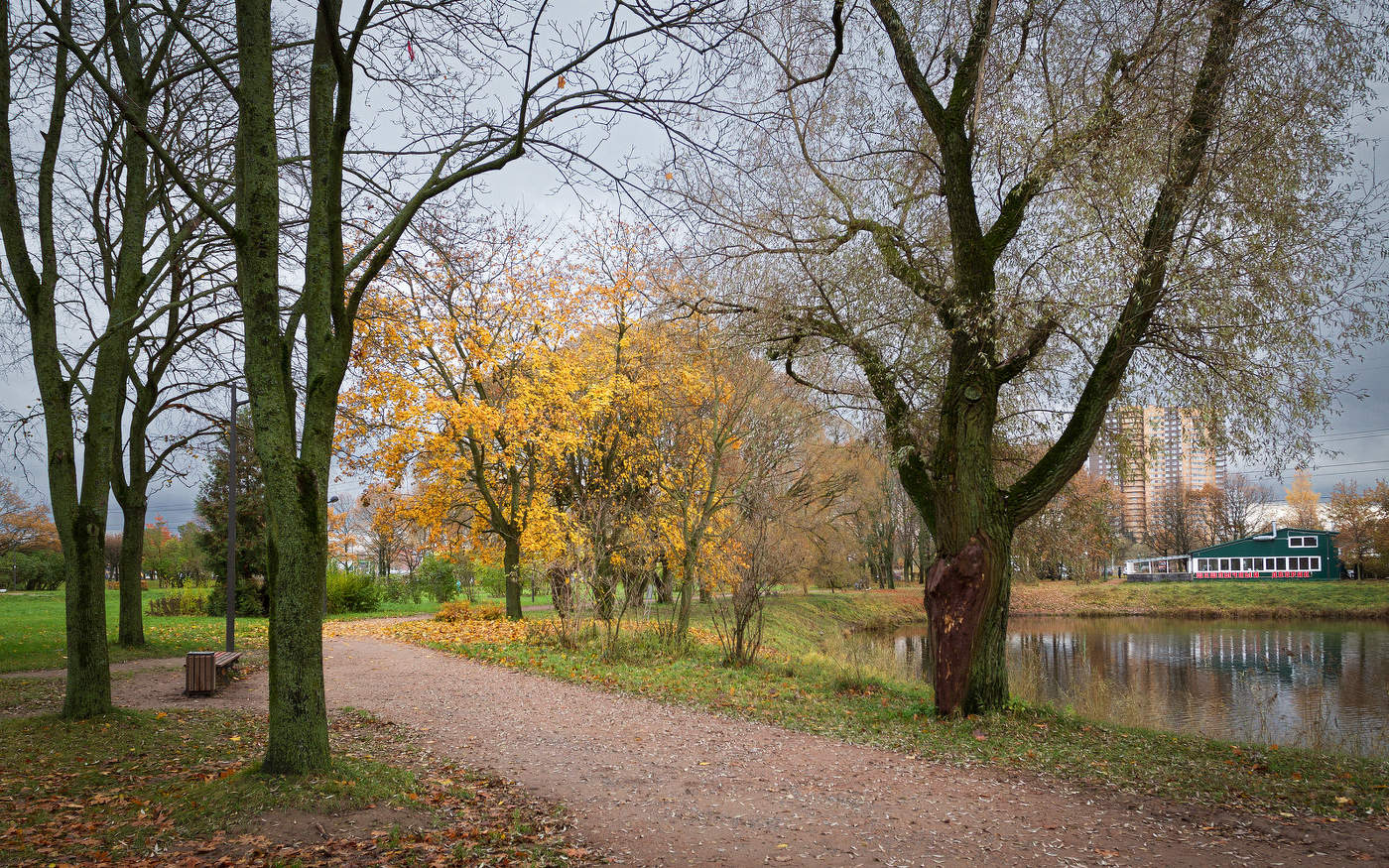 Im Herbst des Parks ...