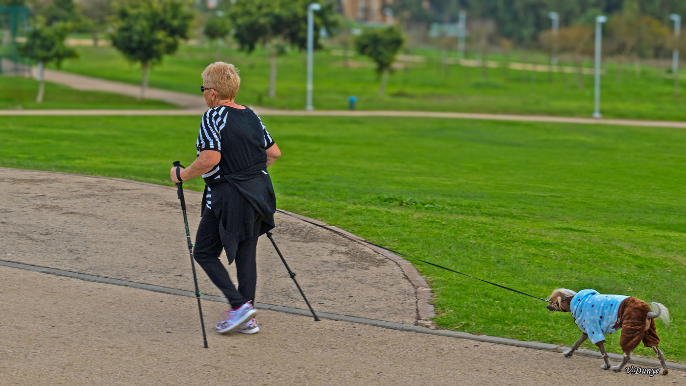 Dame mit dem Hündchen