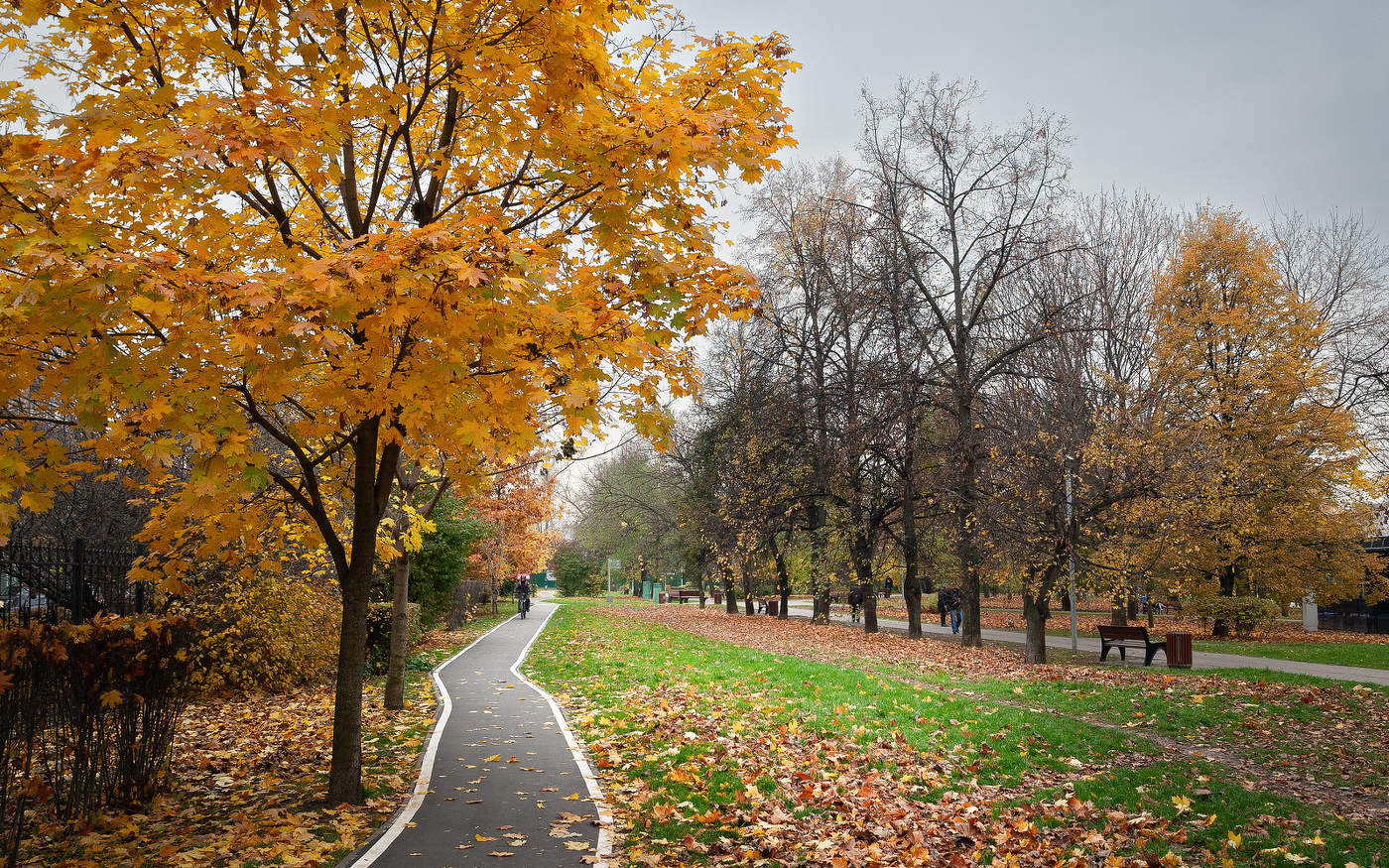 Im Herbst des Parks ...