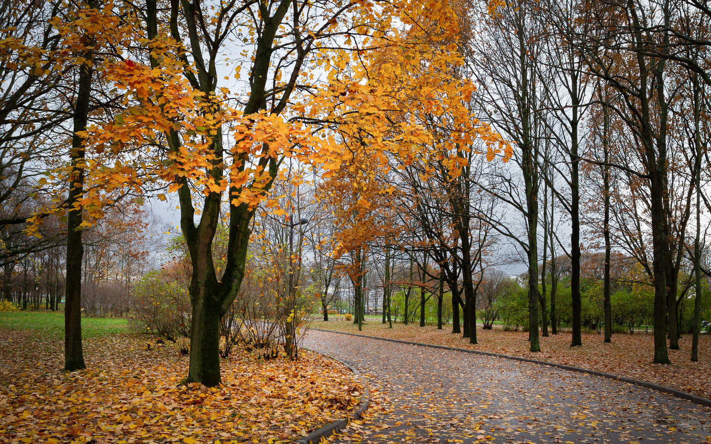 Im Herbst des Parks ...