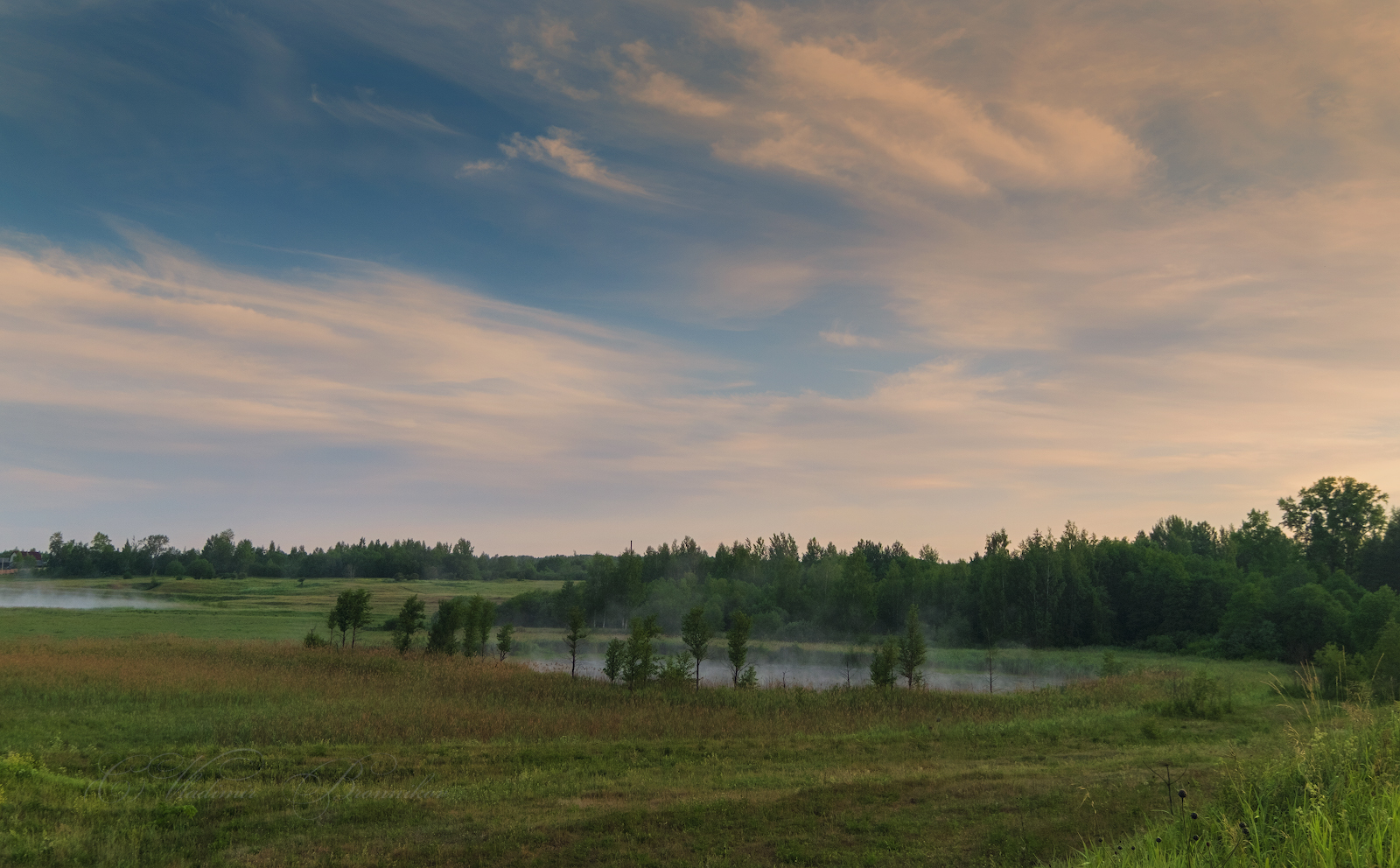 Am See in den Wäldern