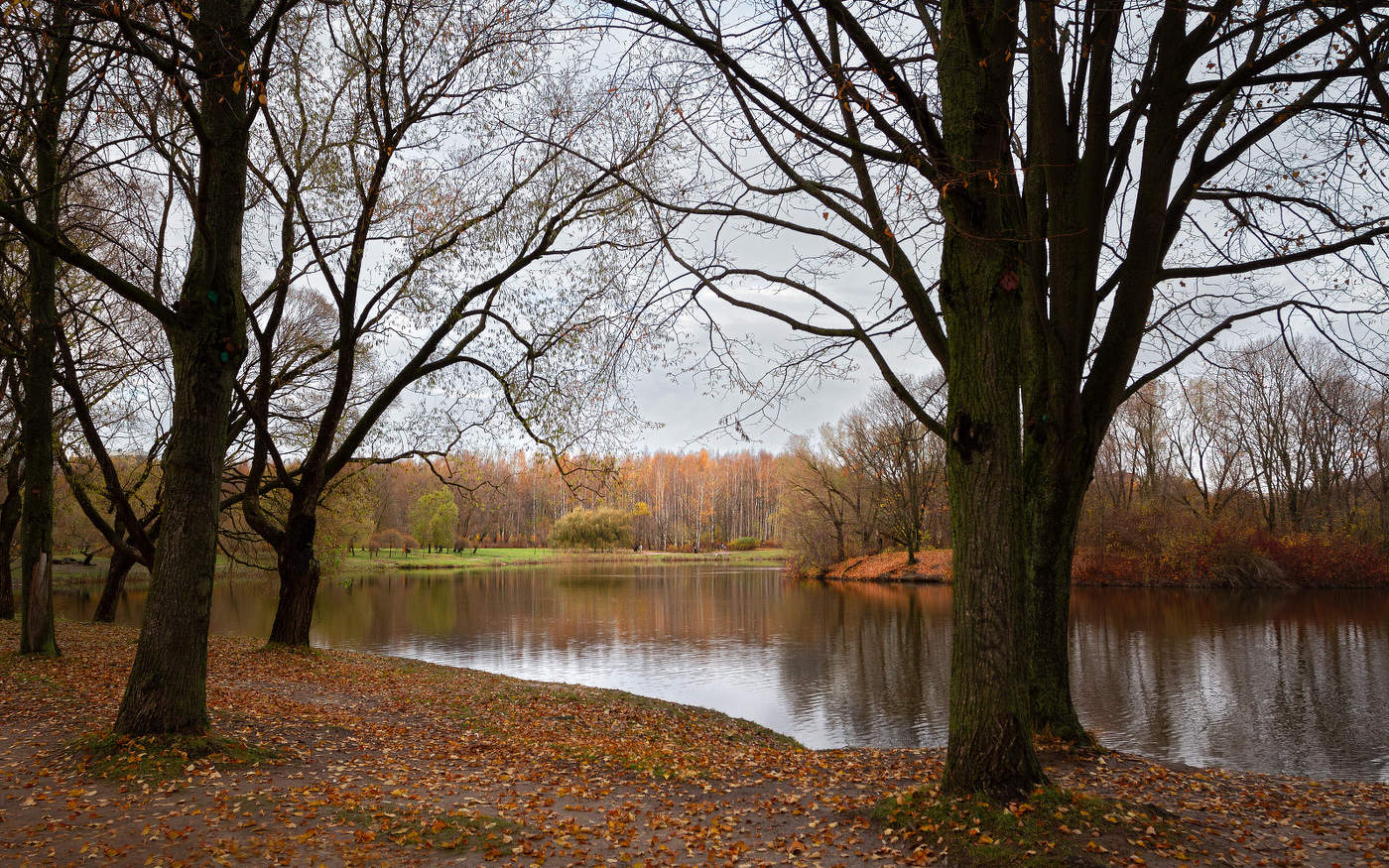 Im Herbst des Parks ...