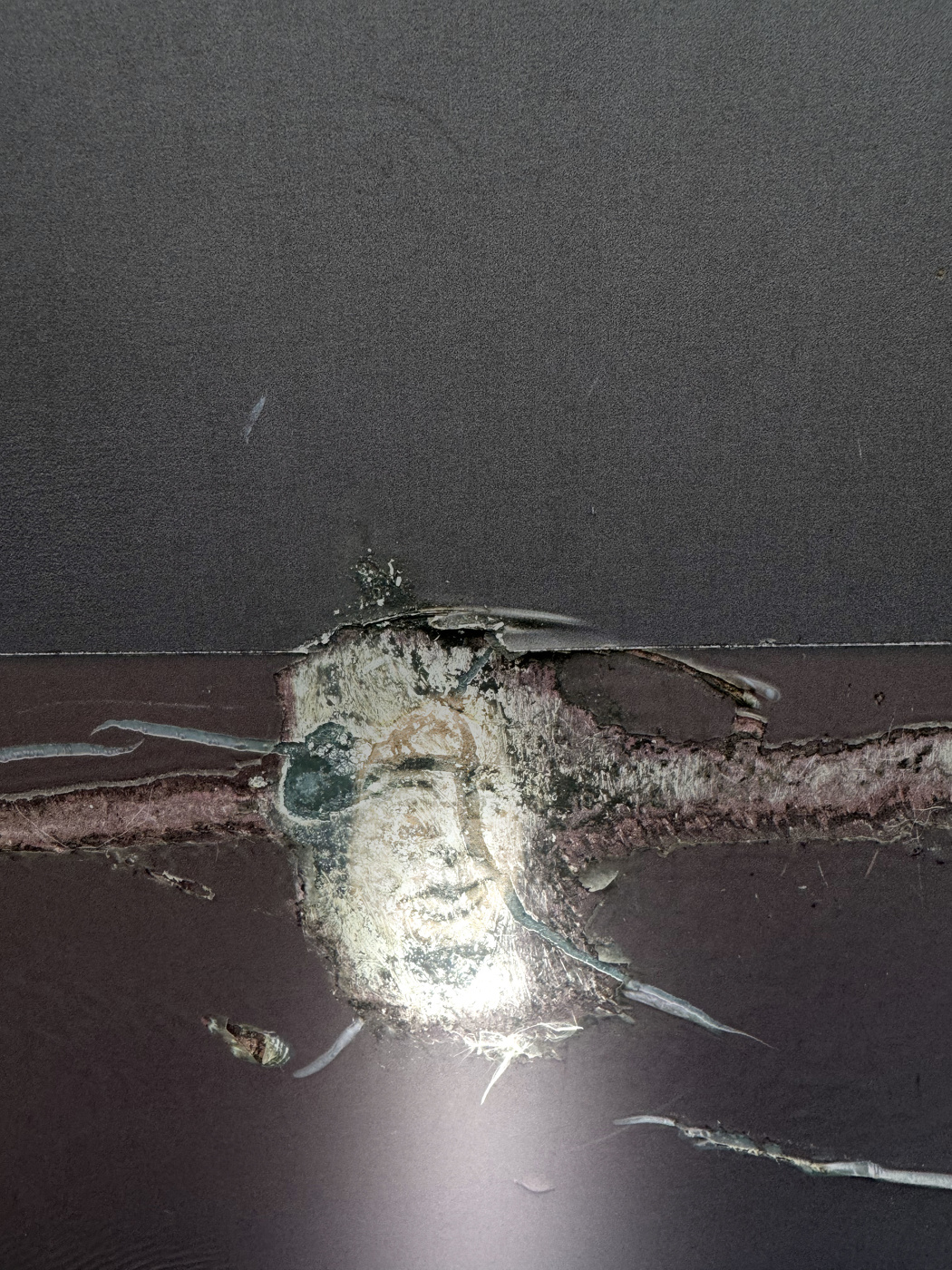 Yours is no disgrace