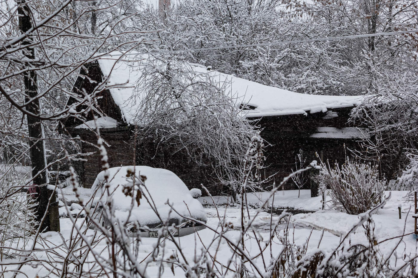 Und der Schnee fällt ...