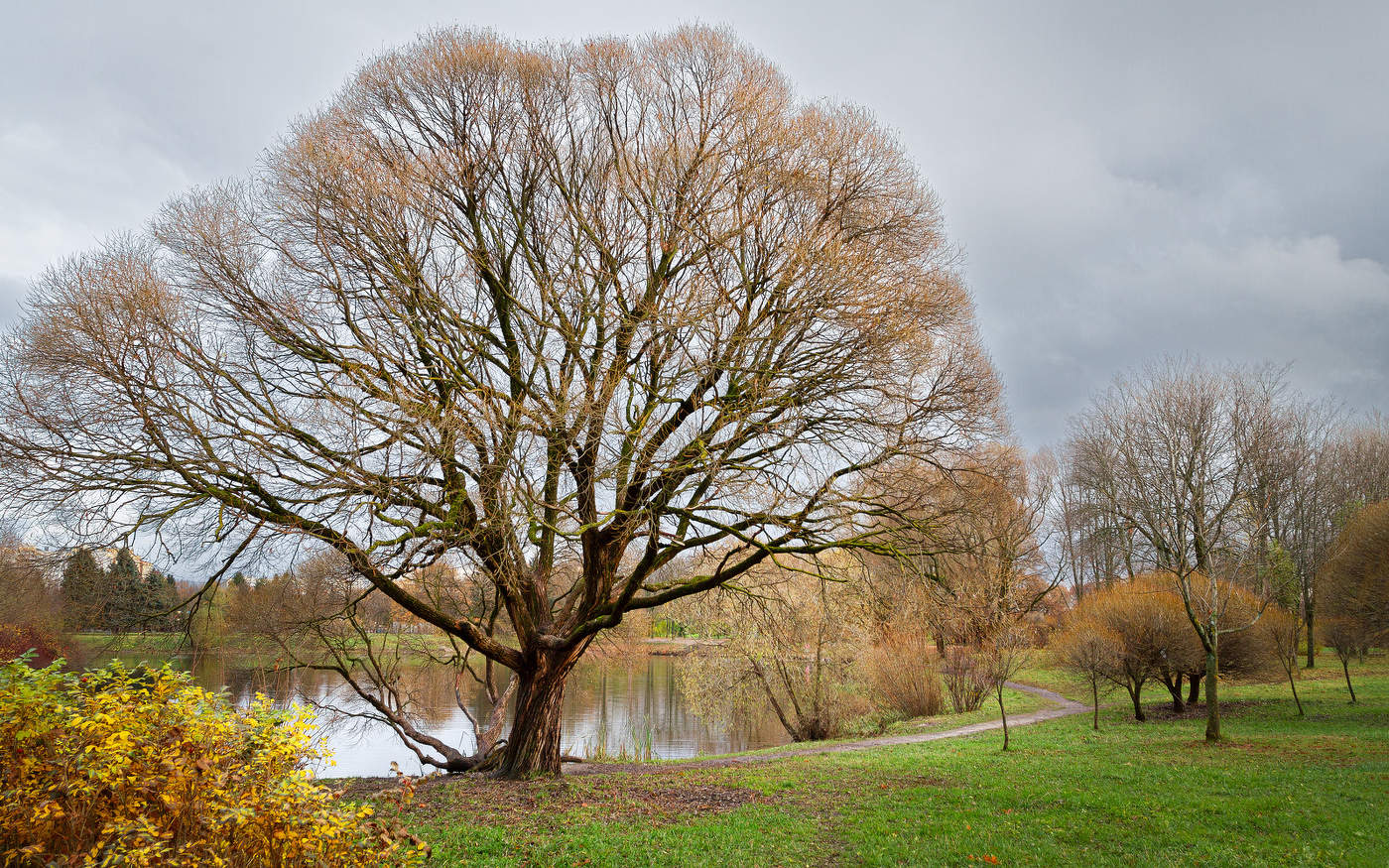 Im Herbst des Parks ...
