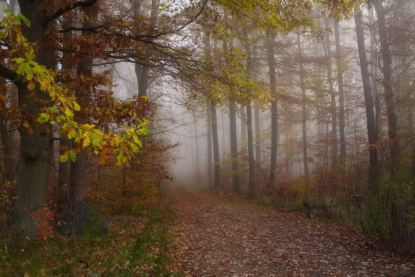 In den goldenen Herbst
