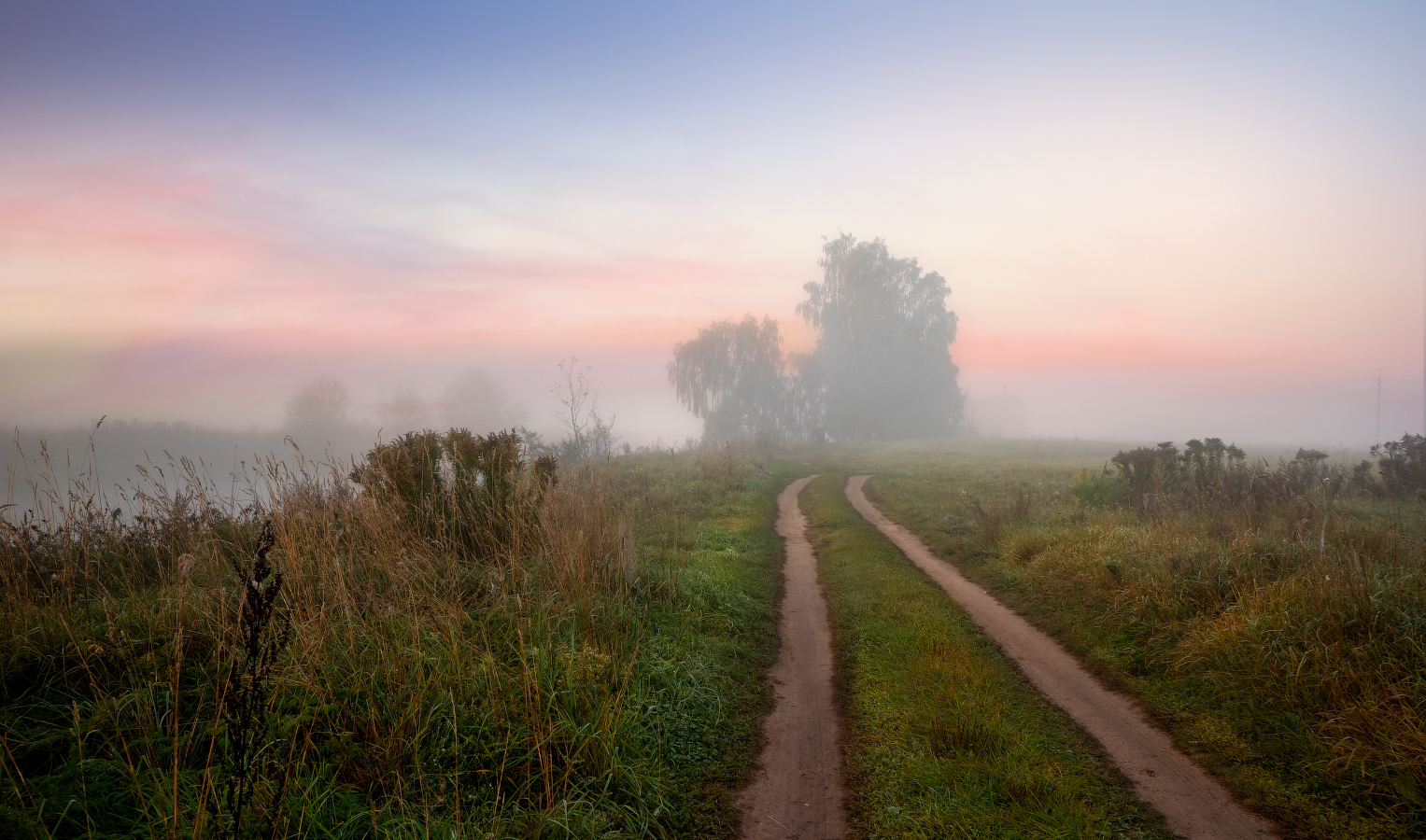 Straße im Nebel