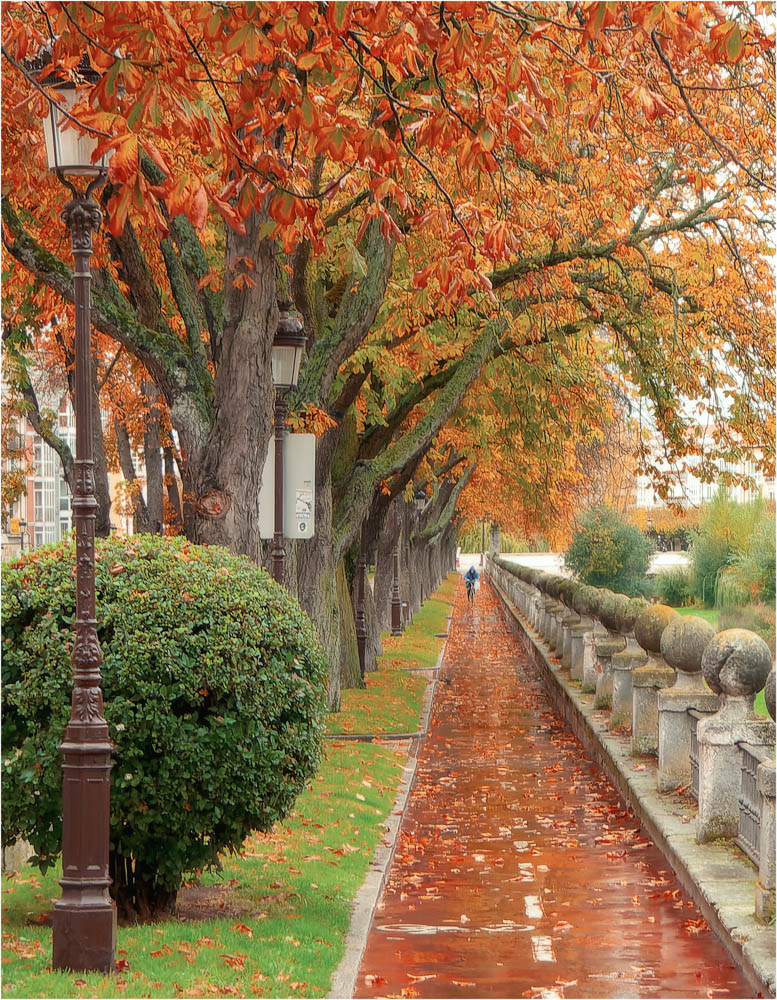 HerbstAllee
