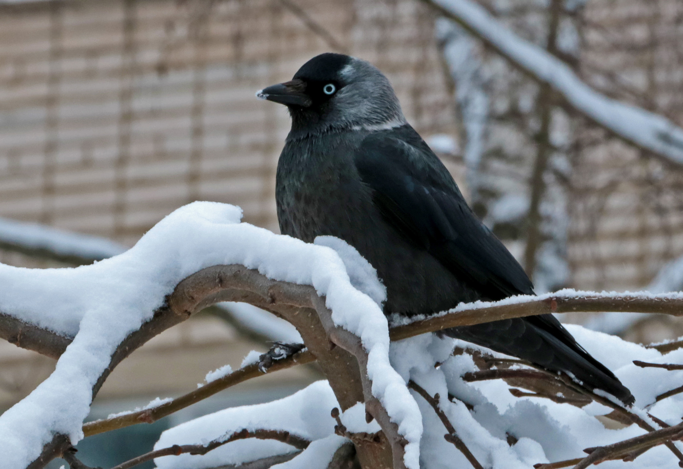 Hoch sitzen, schauen weg ...