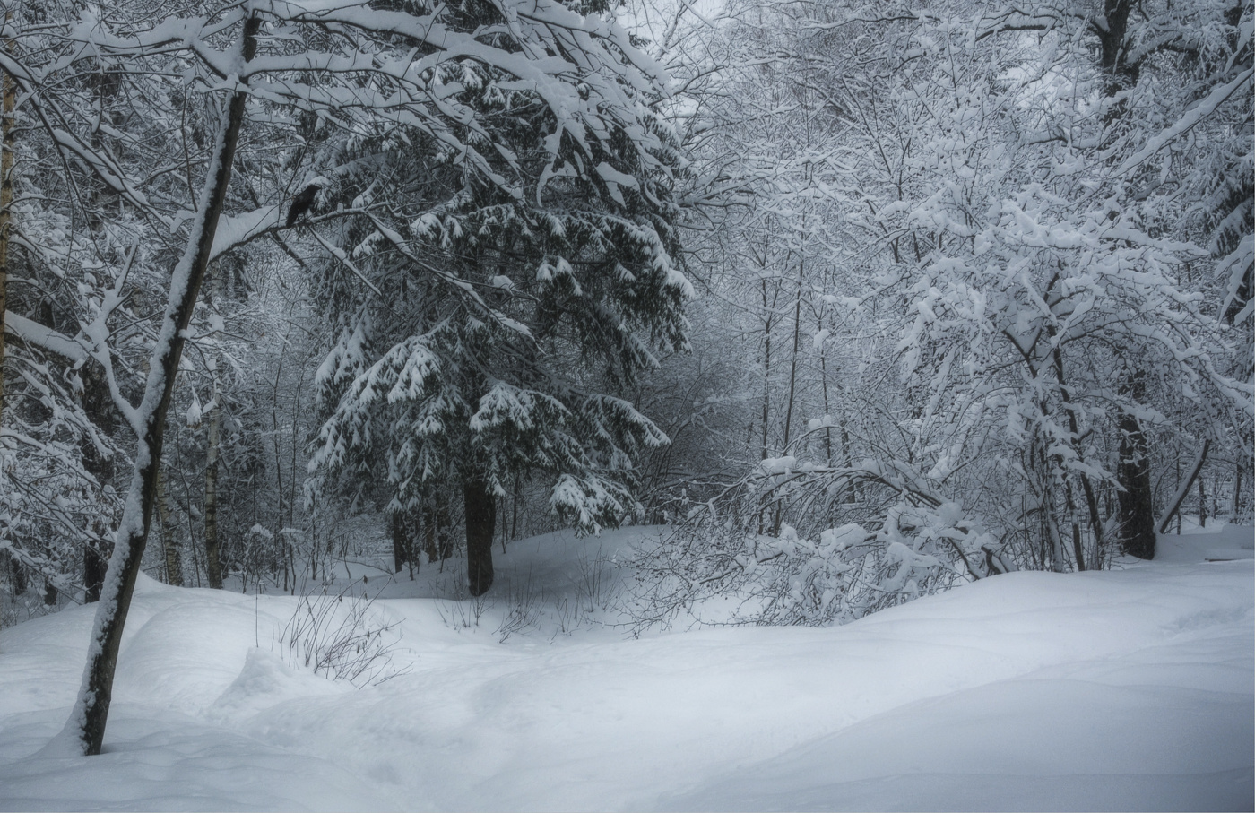 mit Schnee bedeckt ...