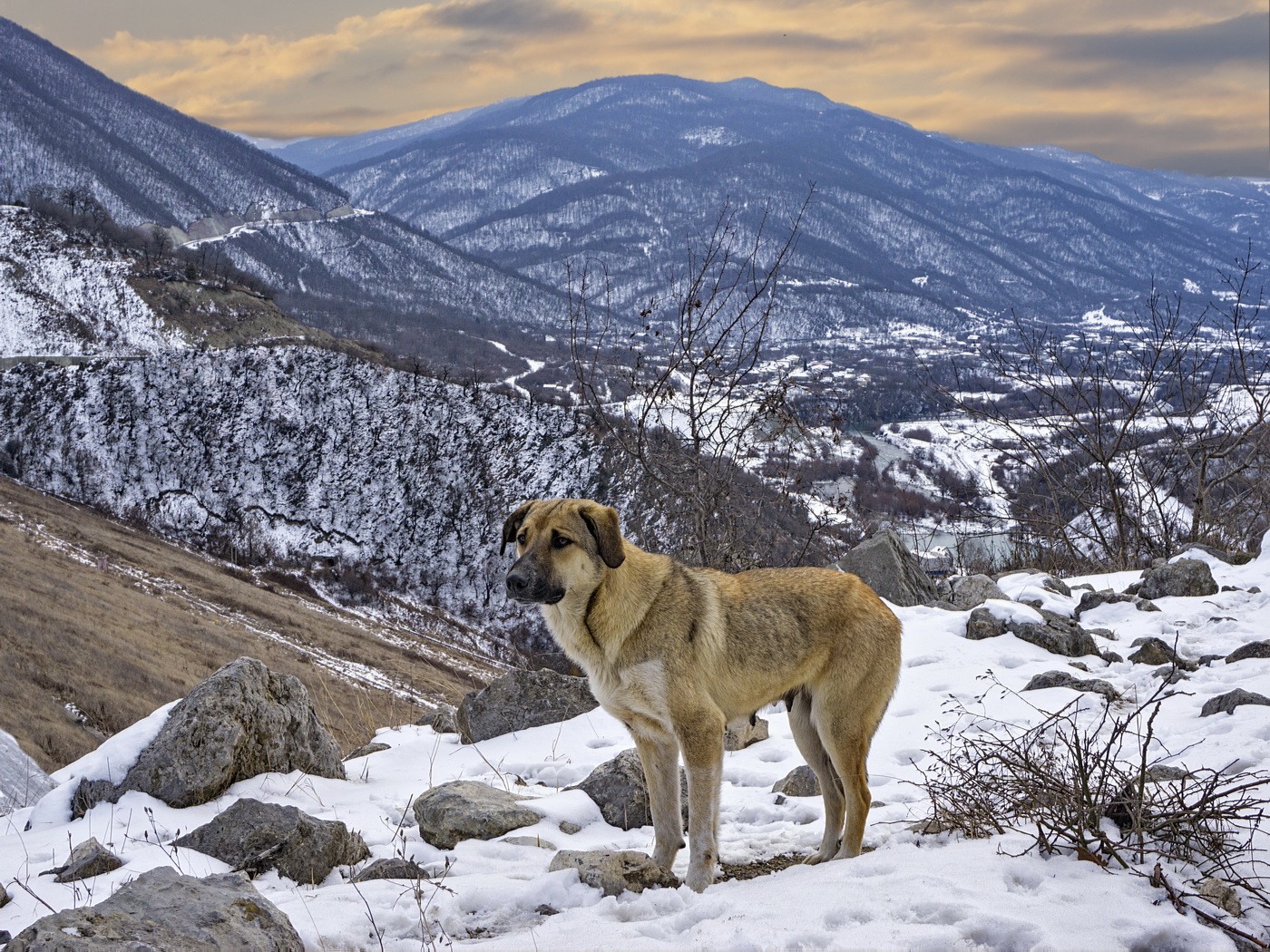 irgendwo in den Bergen