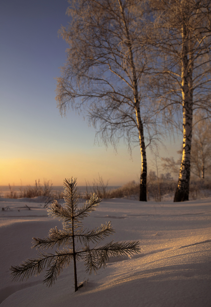 Glückliches Neues Jahr !!!