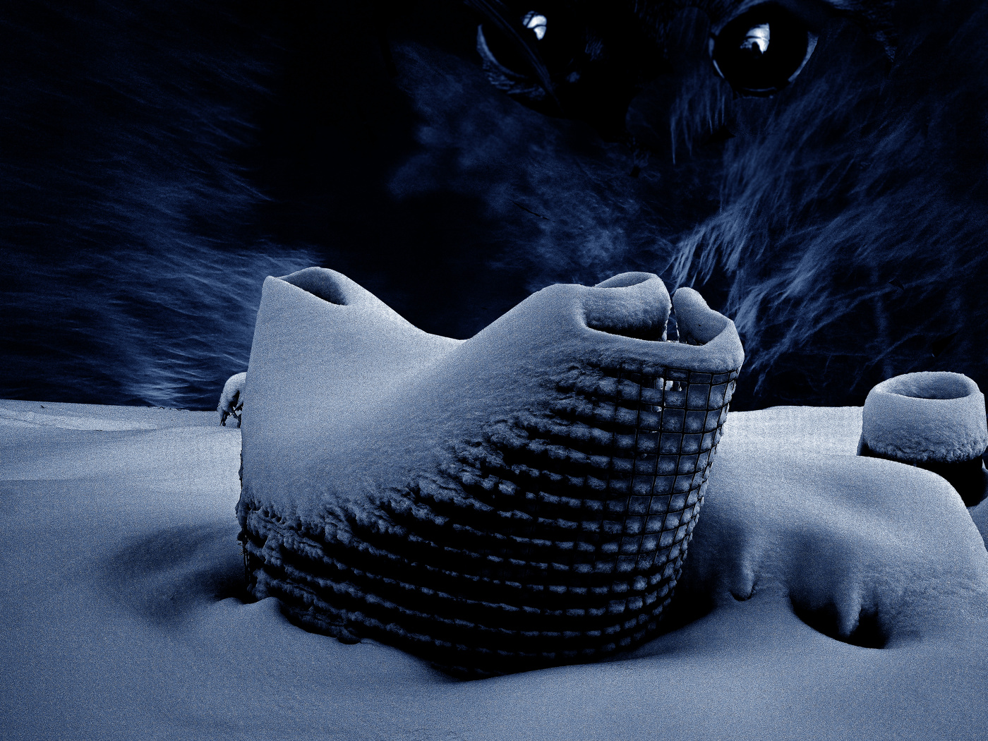 Weihnachtsgeschichte