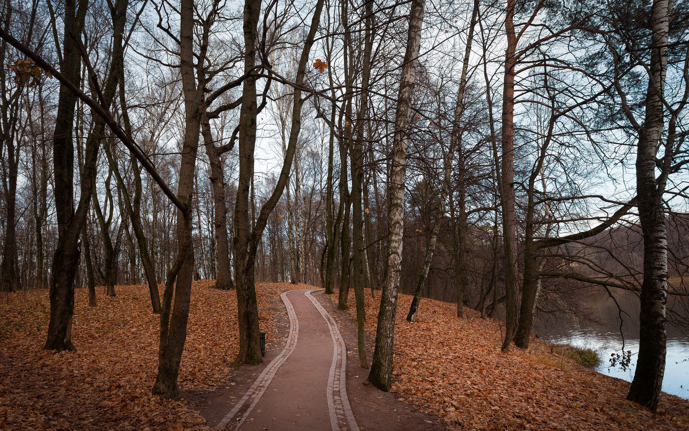 Im Herbst des Parks ...