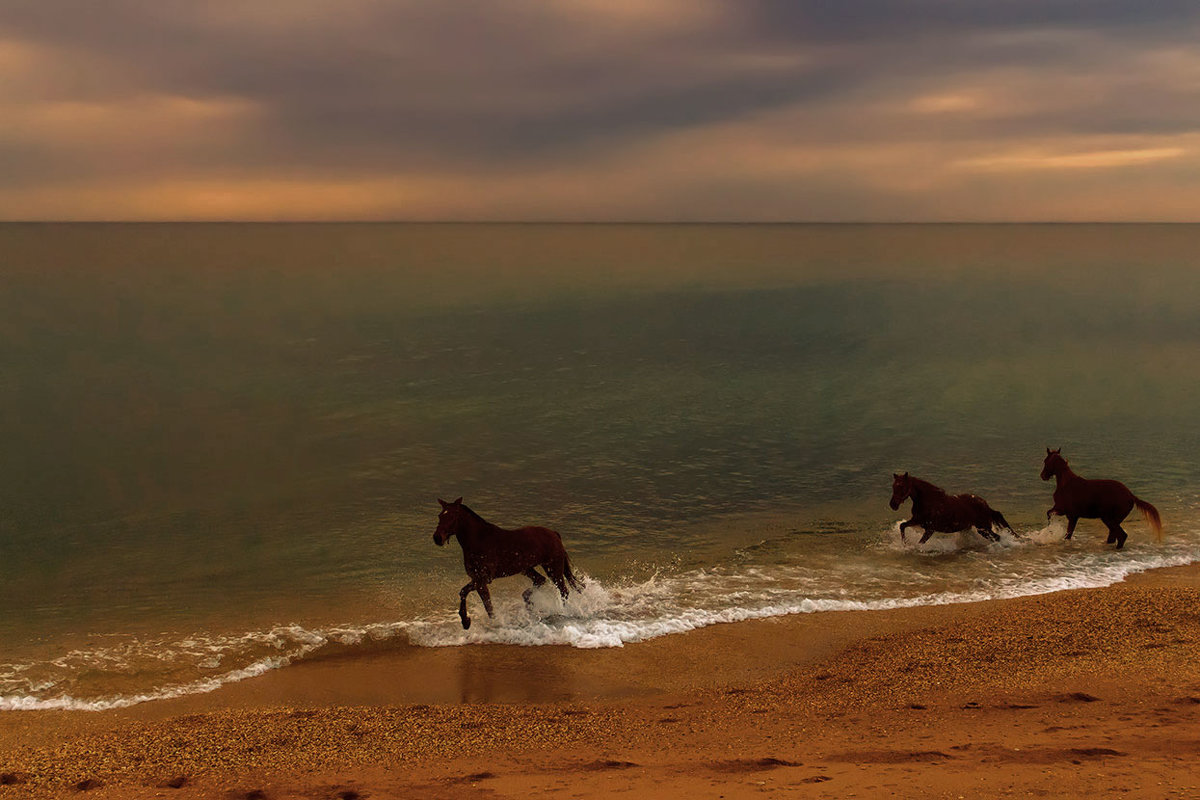 Abendstimmung am Meer
