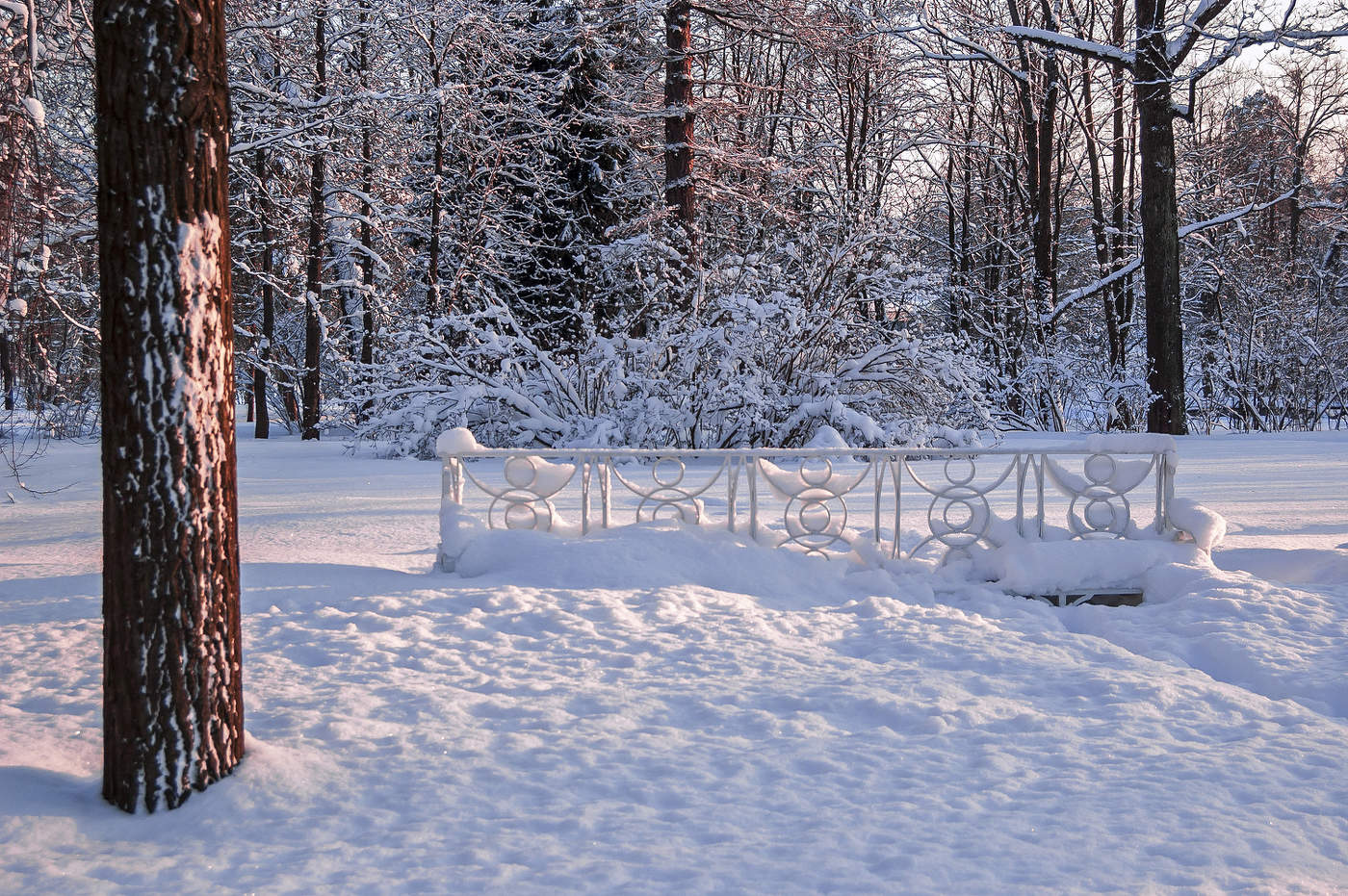Herbst Morgendämmerung