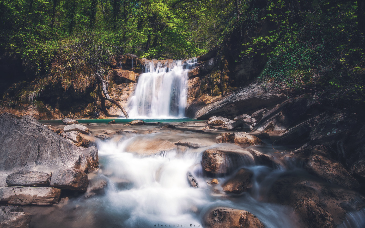 Träumen des Frühlings