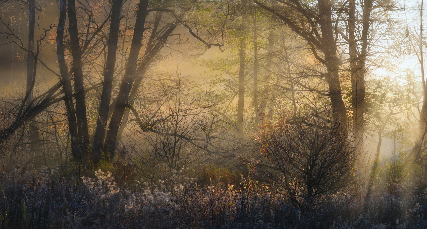 Herbst Morgendämmerung