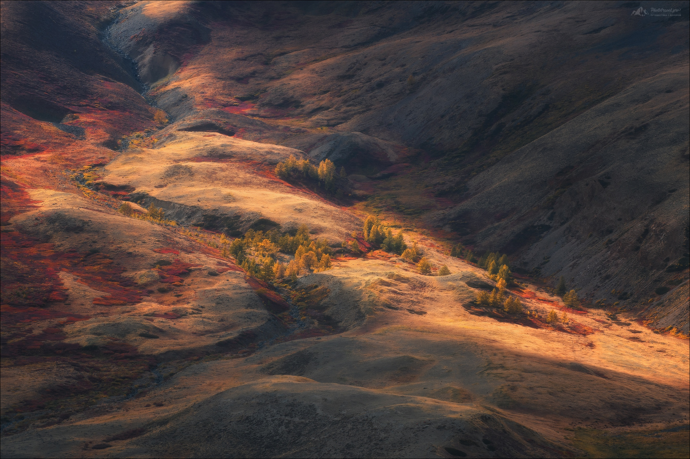 Die Palette des Herbstes