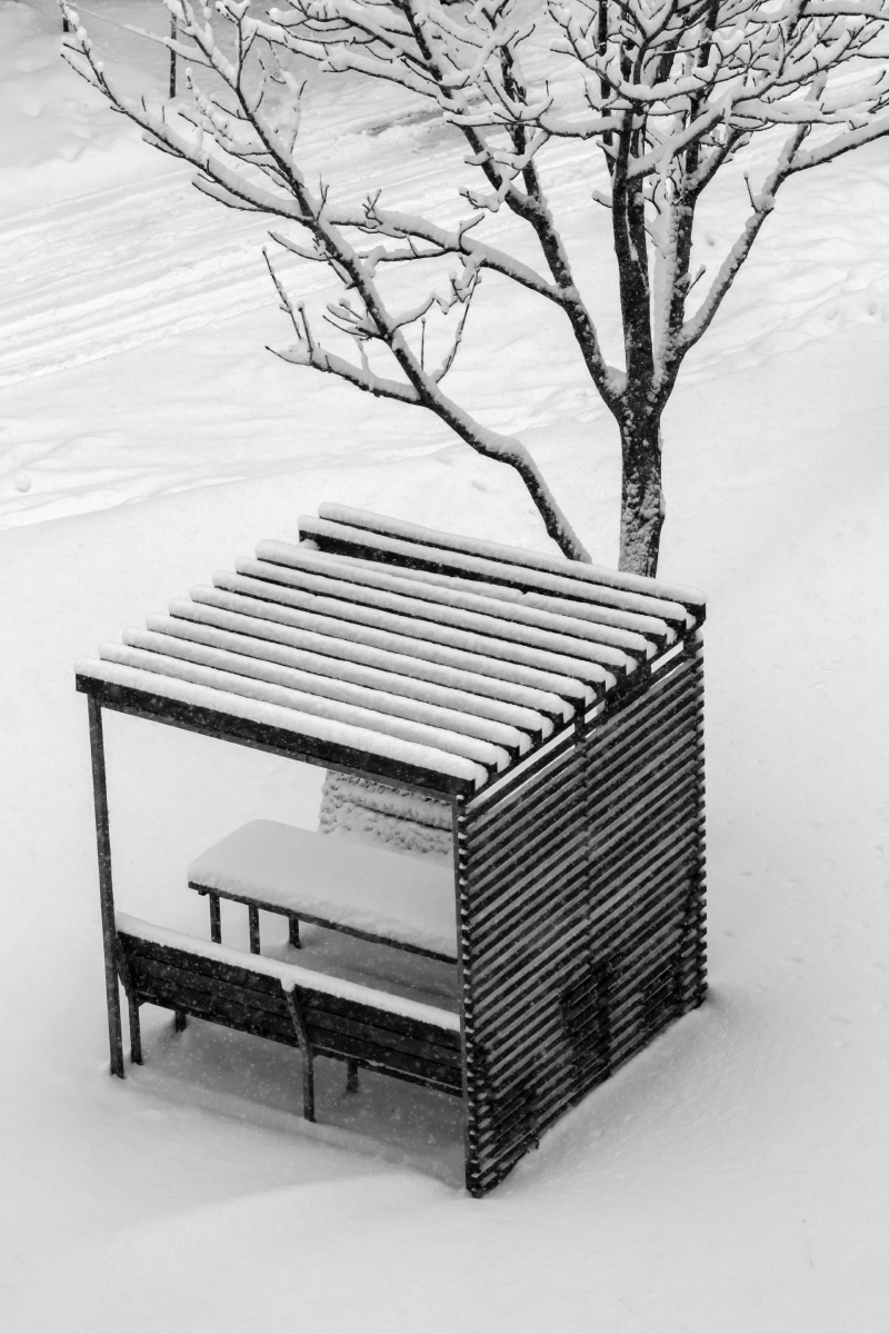 Gerade im Winter ...