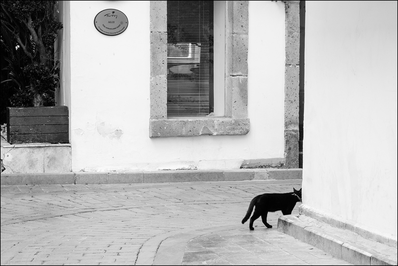 Geht in den Ruhestand