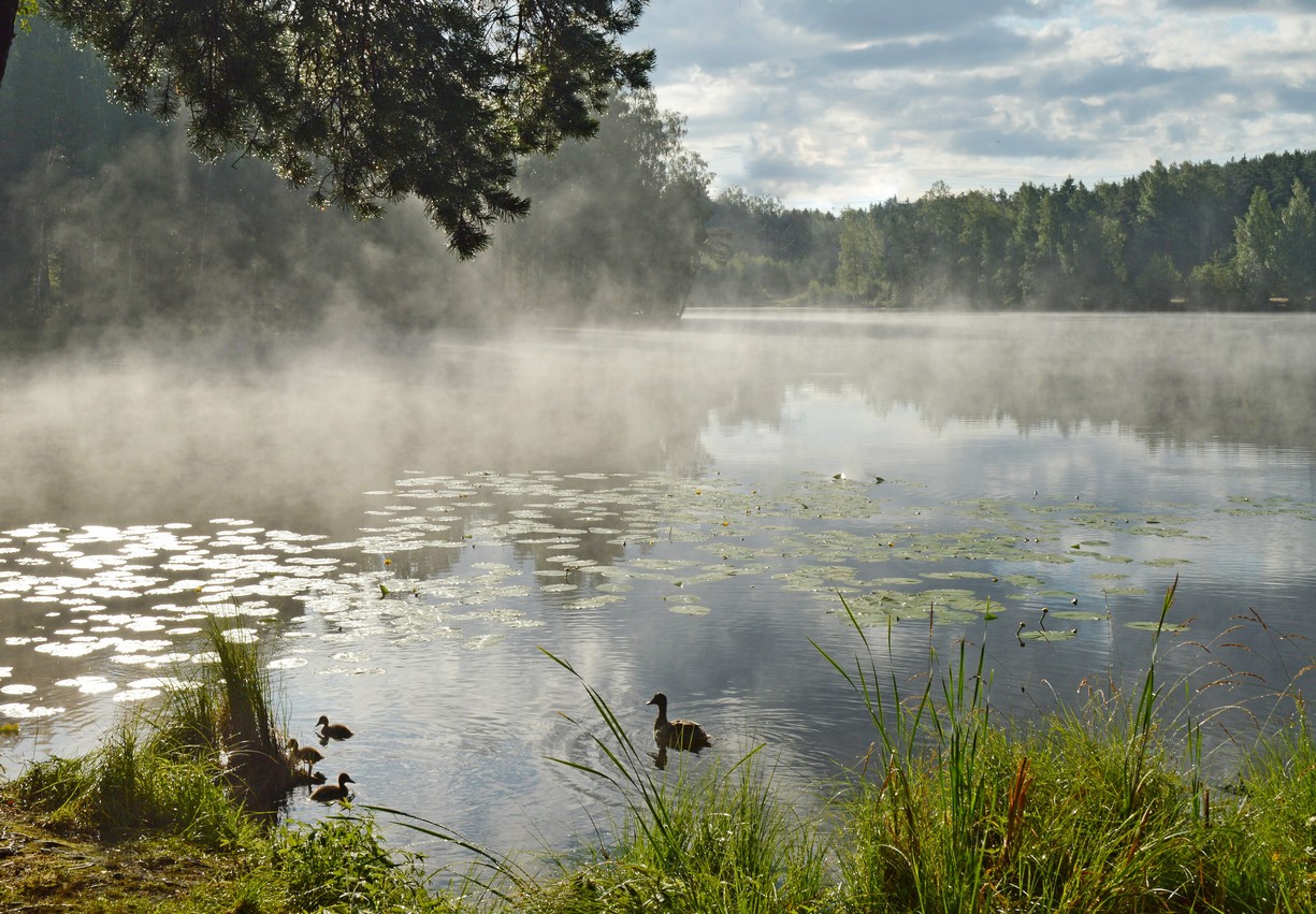 Unter der Aufsicht von