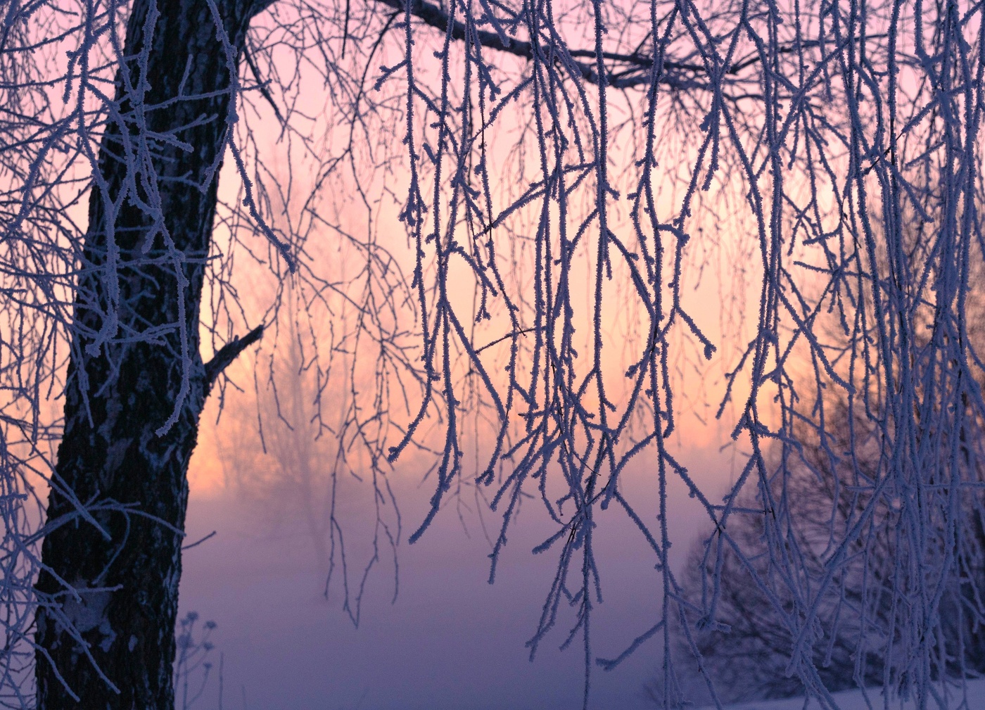 Sonnenuntergang im Winter