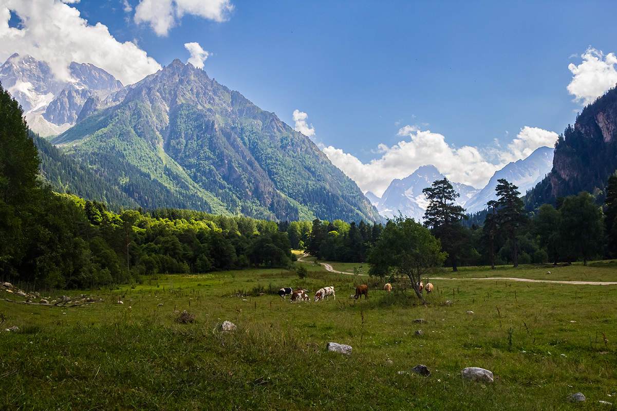 In den Bergen des Kaukasus