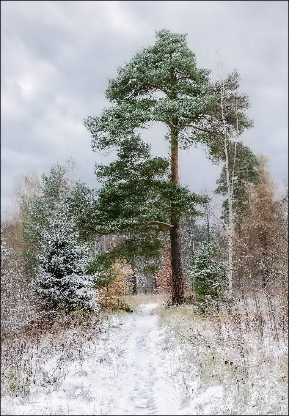 Zu Beginn des Winters