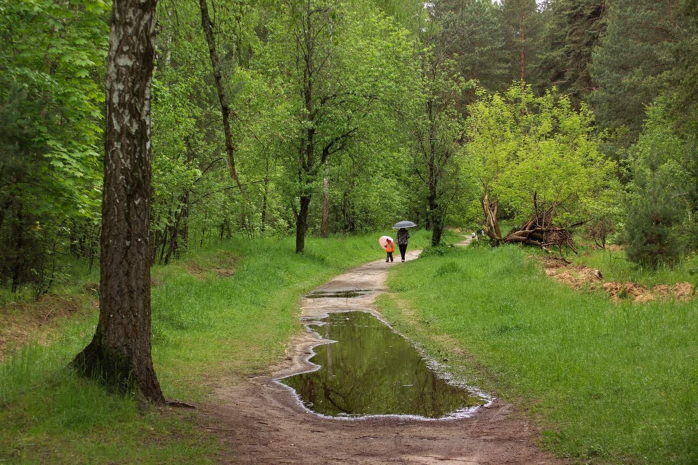 Frühling Geschichte