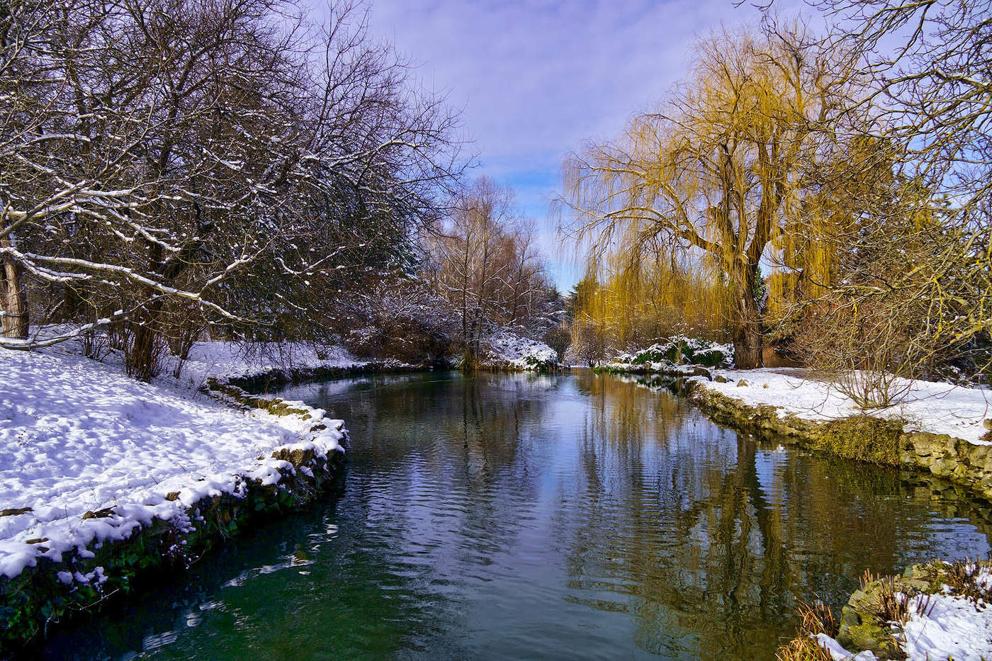 Winter-Teich