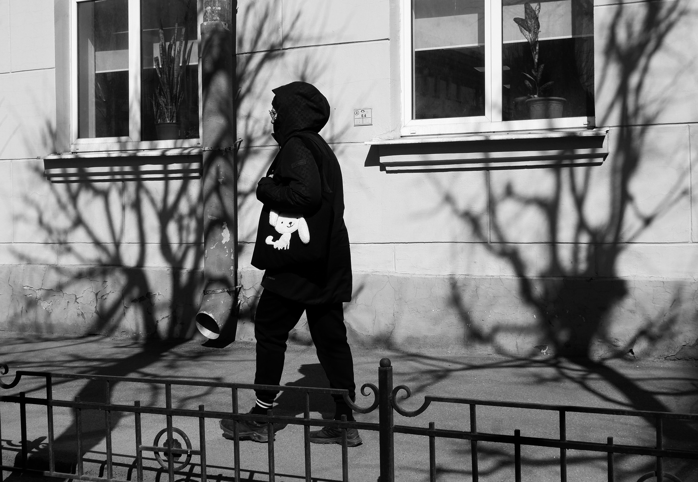 Gehen Sie mit einem Hund