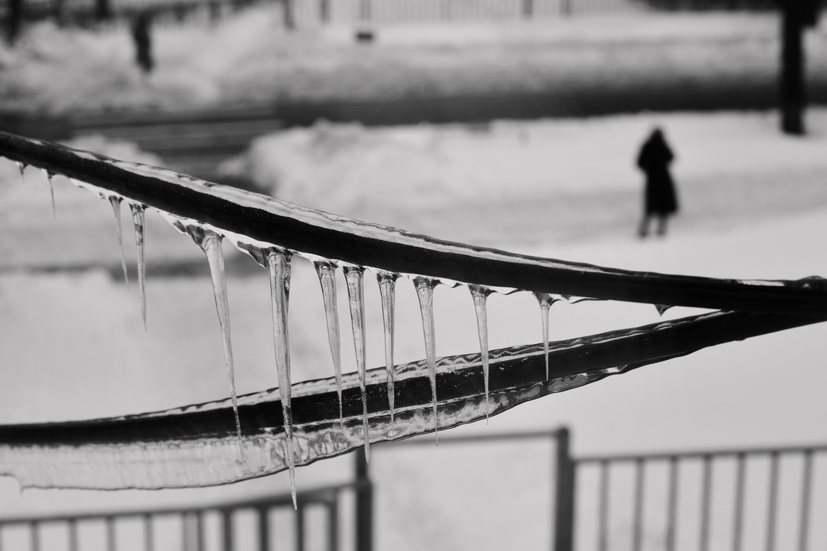 Der Frühling ist auf der Nase