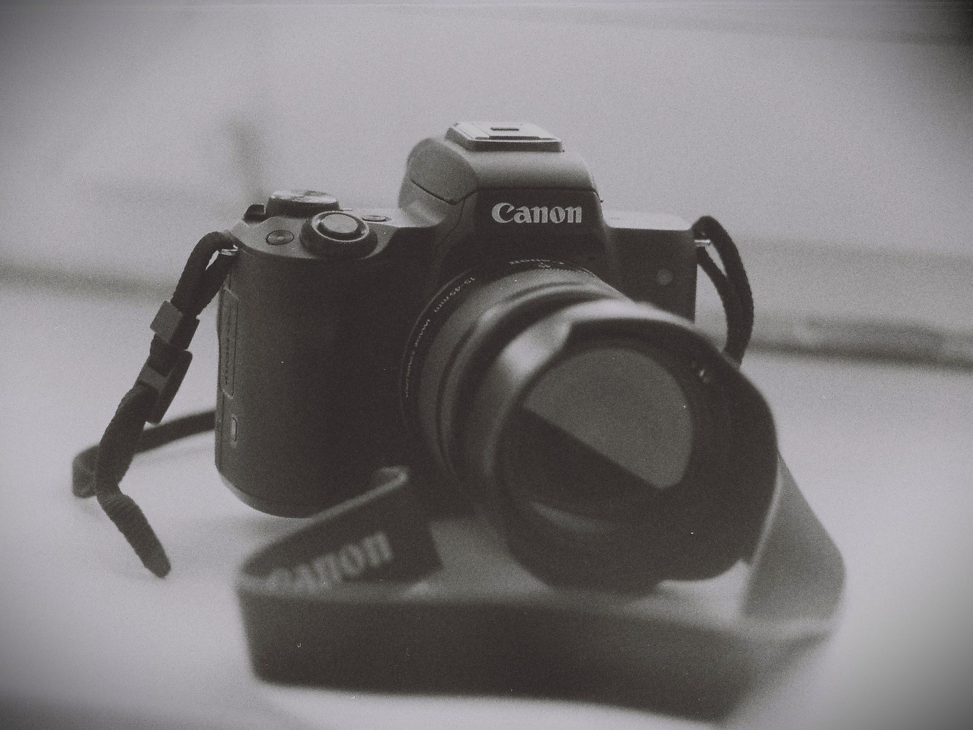 Canon M50