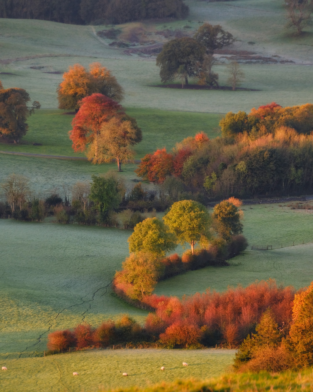 ...autumn slopes...