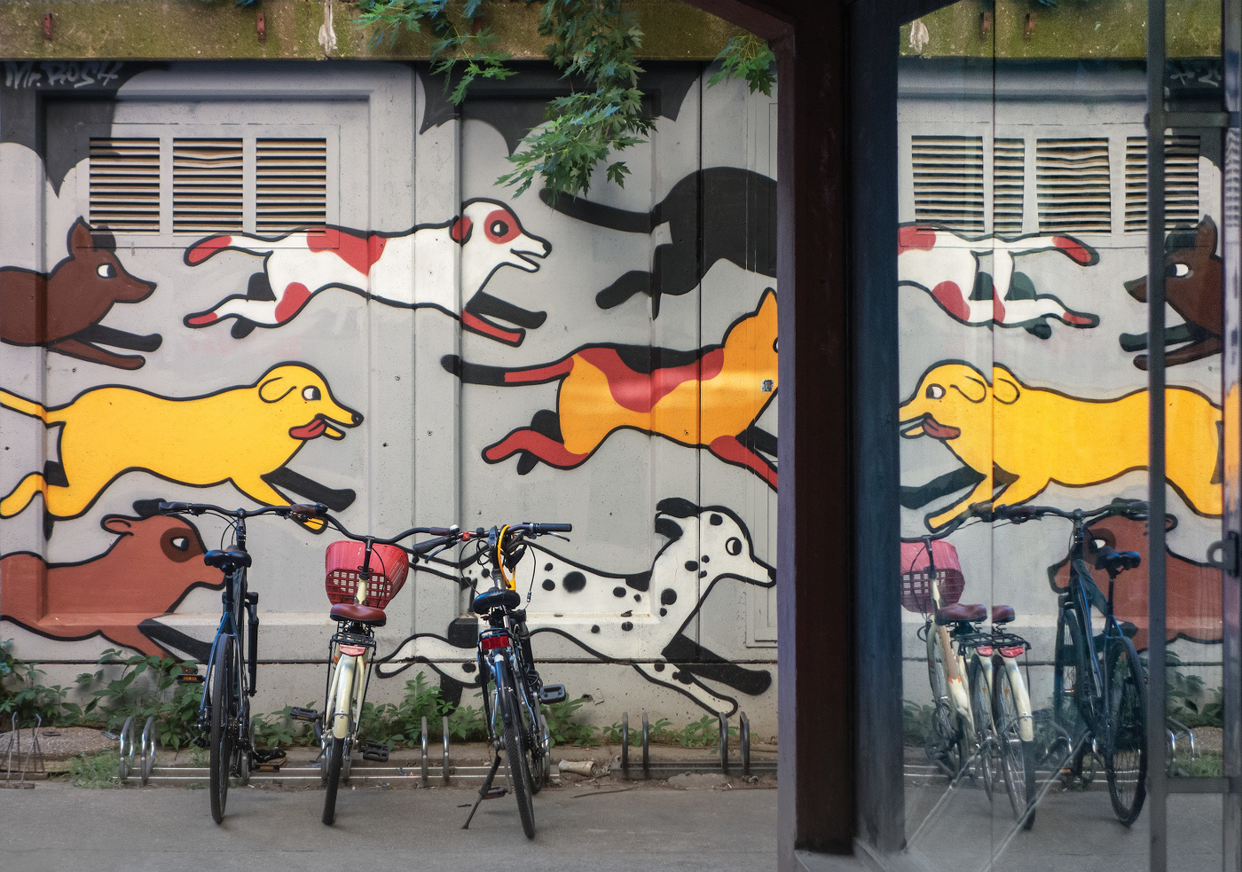 Alle Hunde kommen in den Himmel