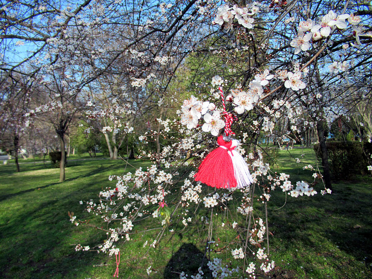 Entgegenkommenden Frühlings