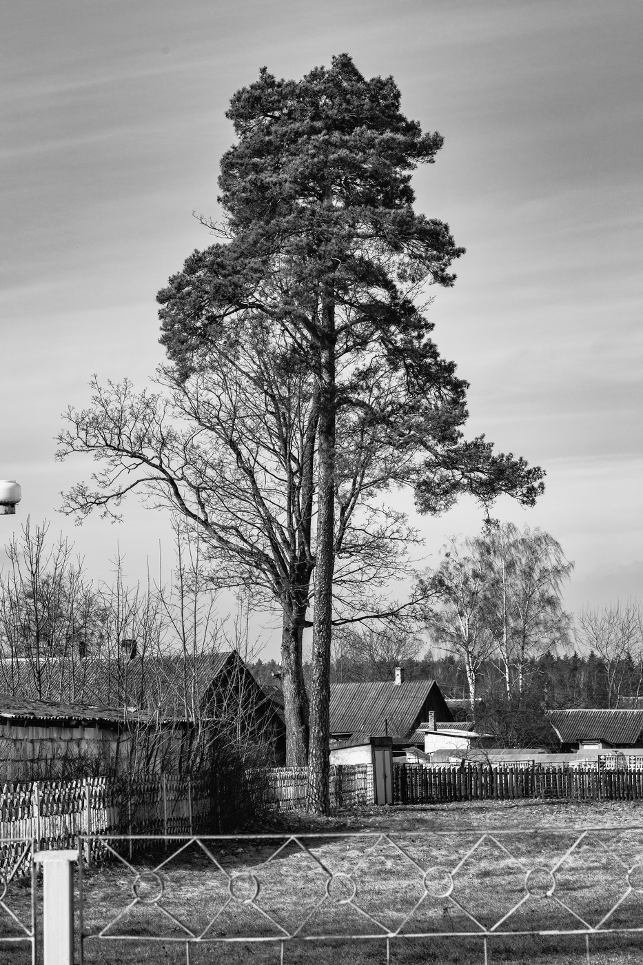 Landschaft im ländlichen Raum