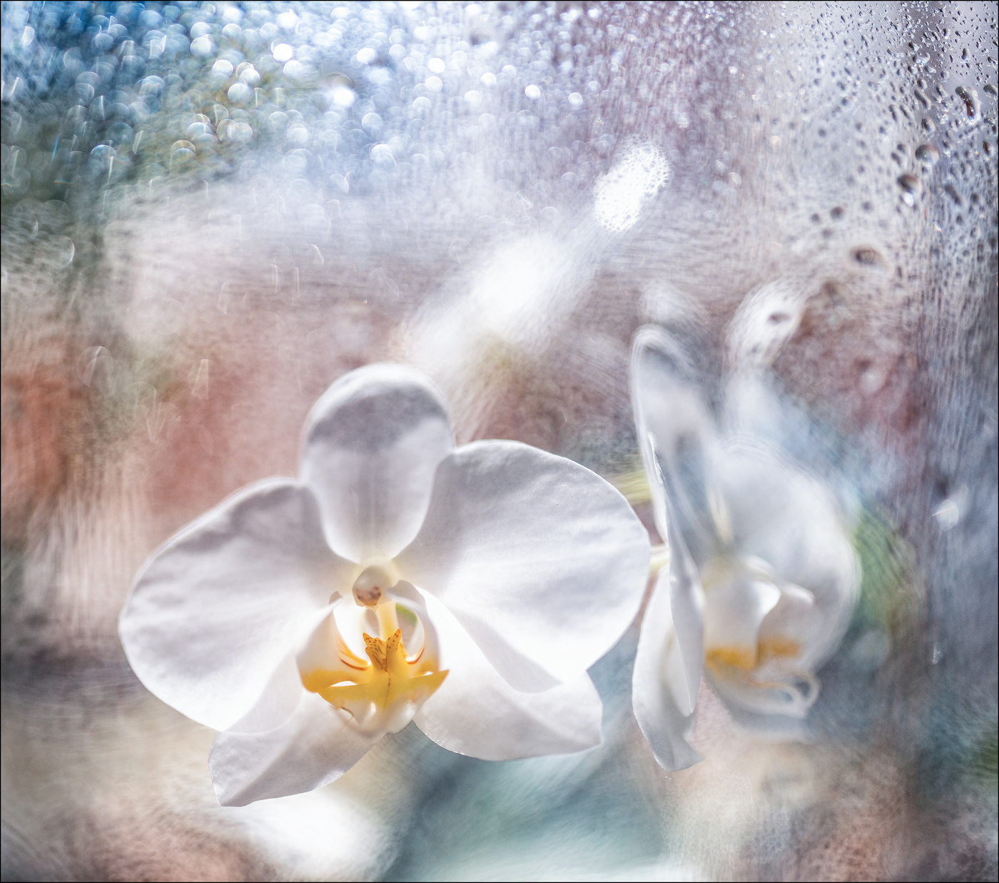 Die Farbe des Frühlings.