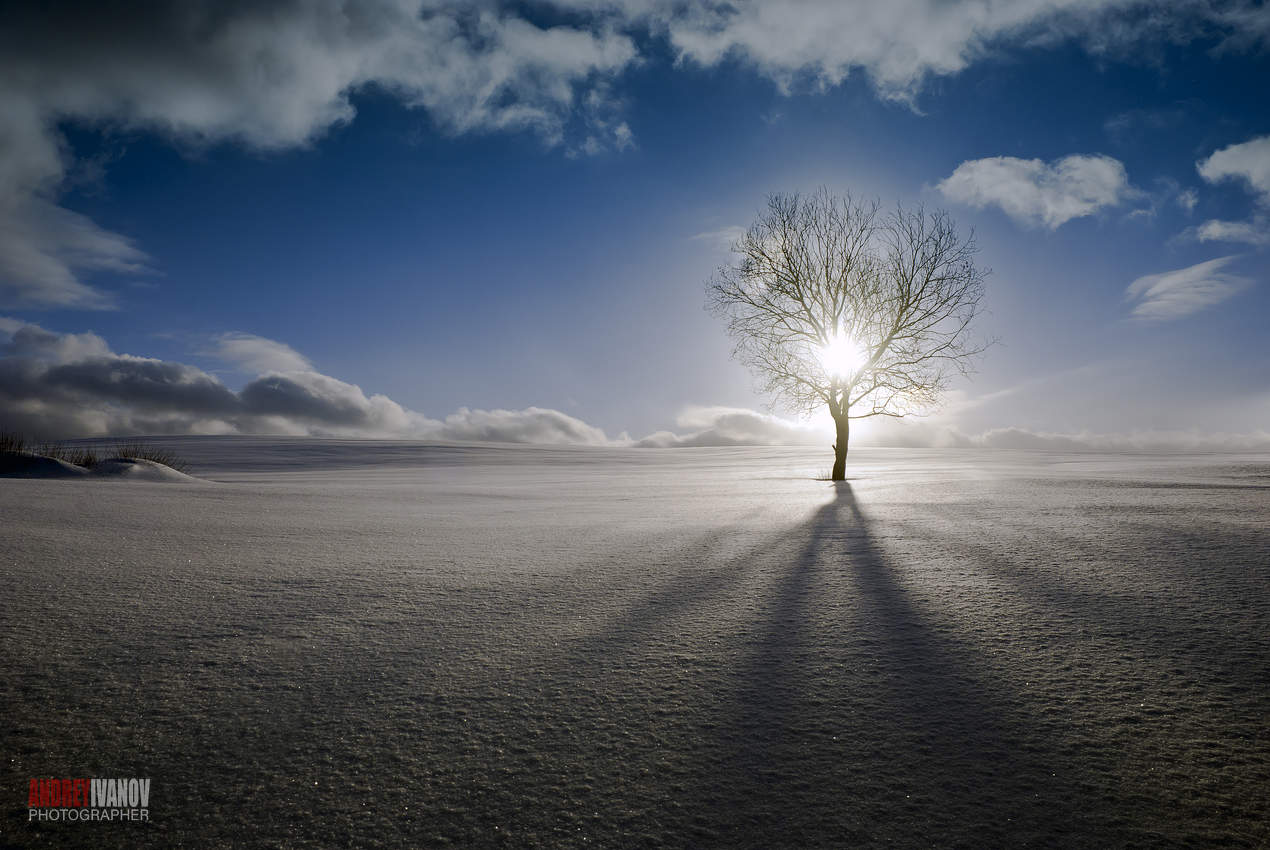 In den Fesseln von einem Baum ...