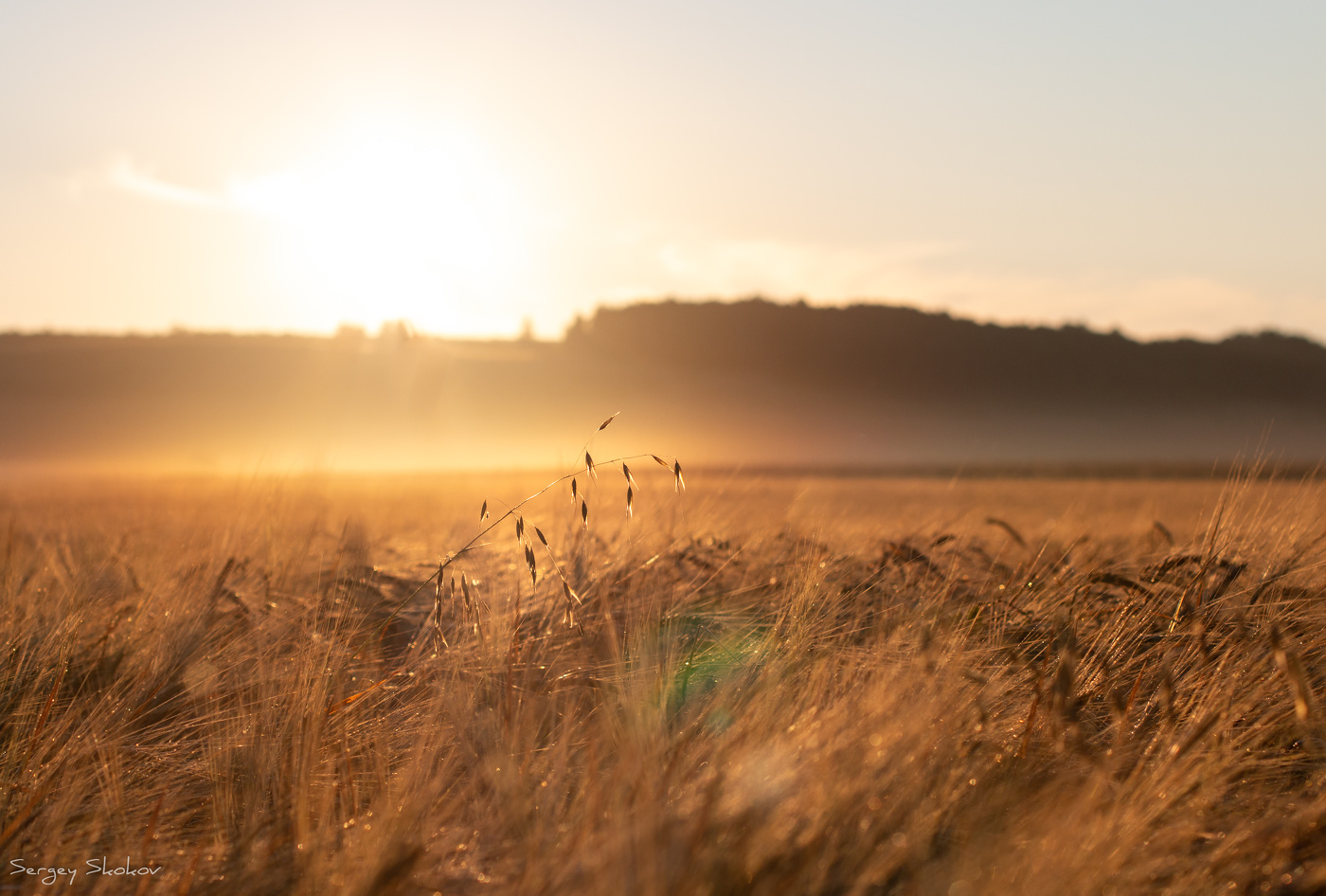 Dawn in den Bereichen