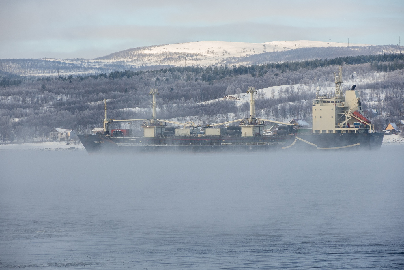 In der frostigen Nebel