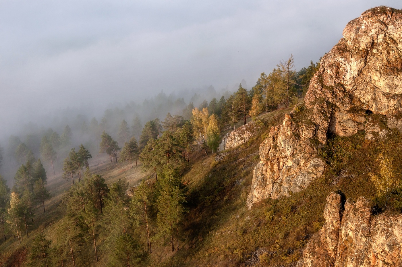 durch Nebel dominiert