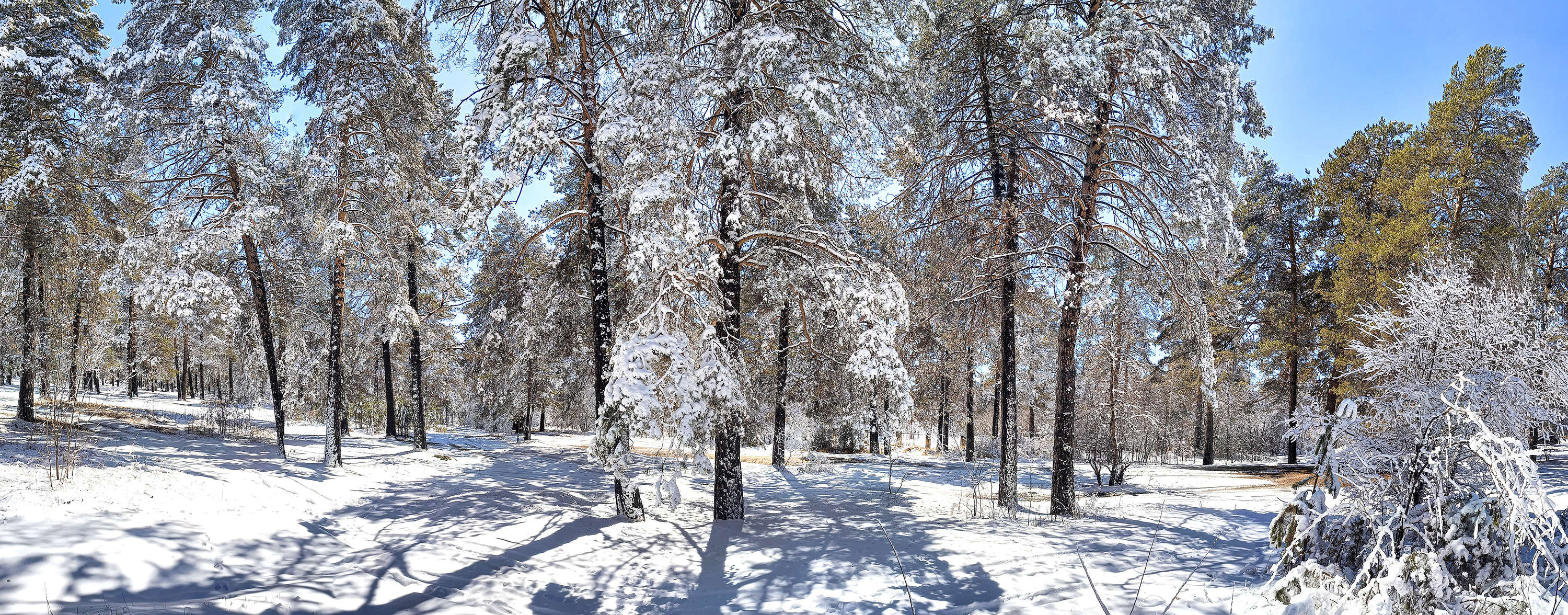 Der Frühling ist gekommen
