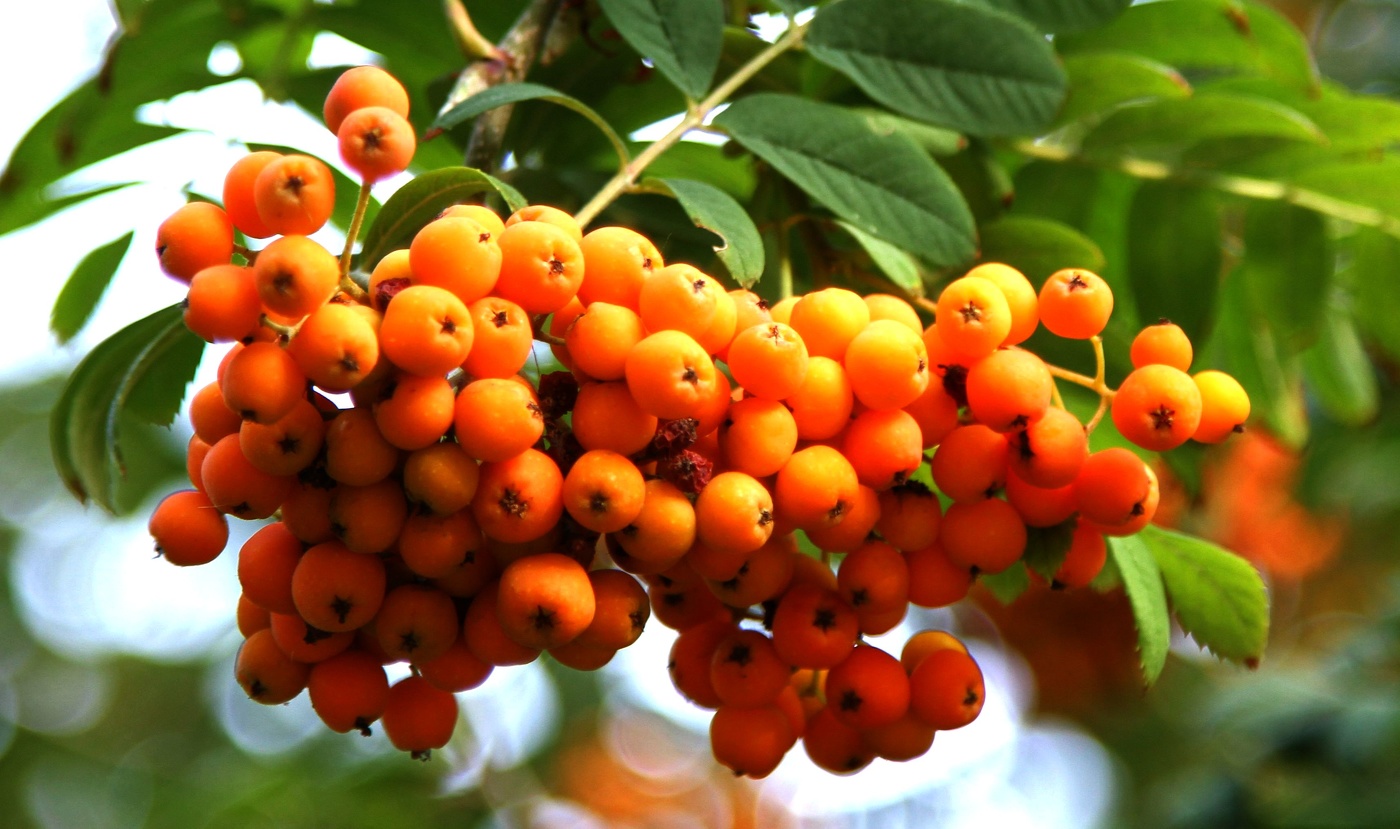 .....................