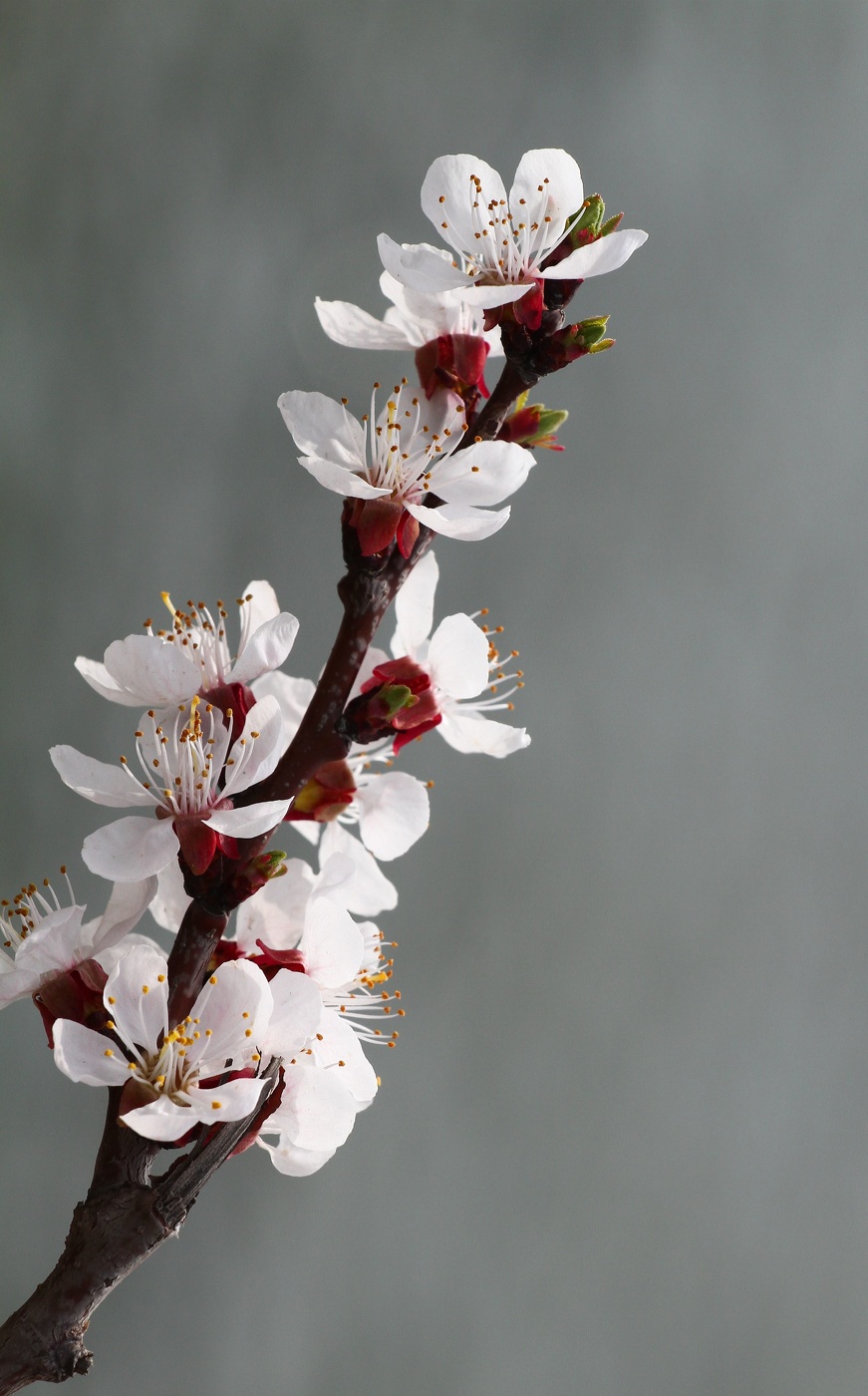 ....................