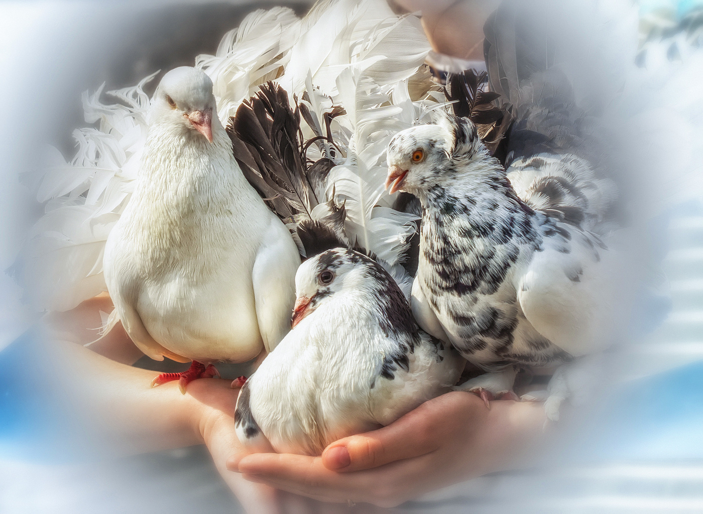 Glückliche Tag des Sieges!