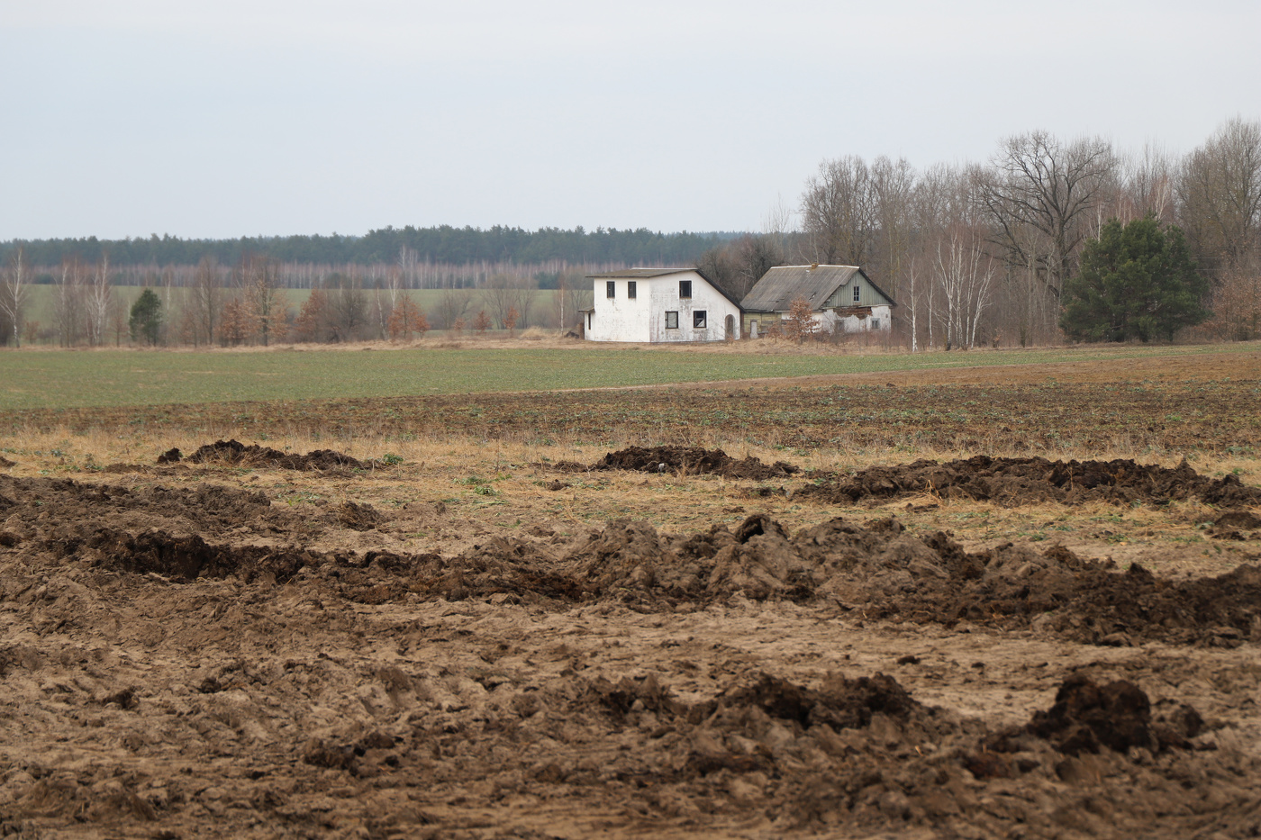 Das Haus auf dem Rand der Erde