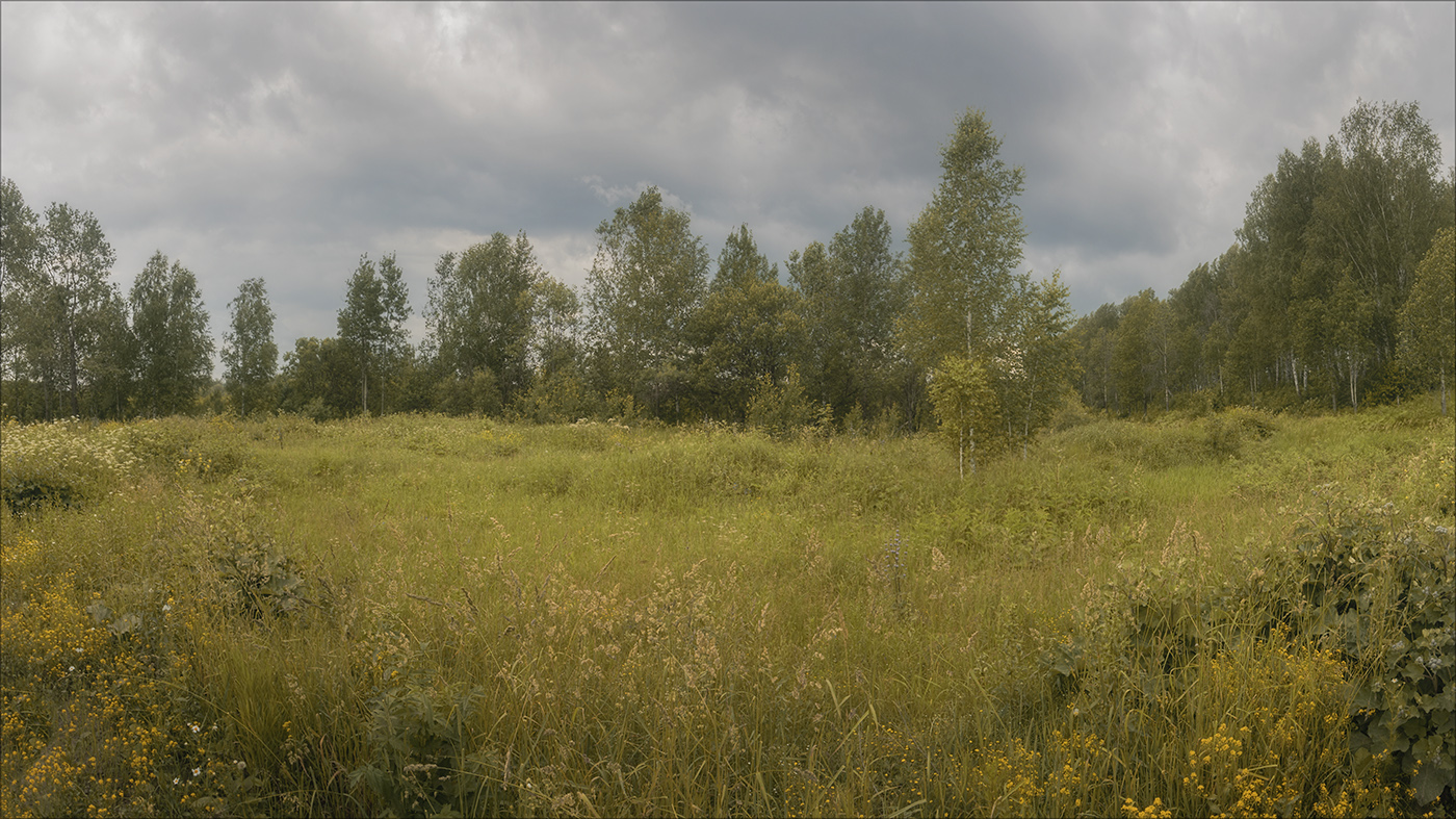 Überwiegend bewölkt